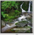 /album/photo-gallery-canvas-uri/decoratiuni-de-perete-canvas-lc-0569-jpg/